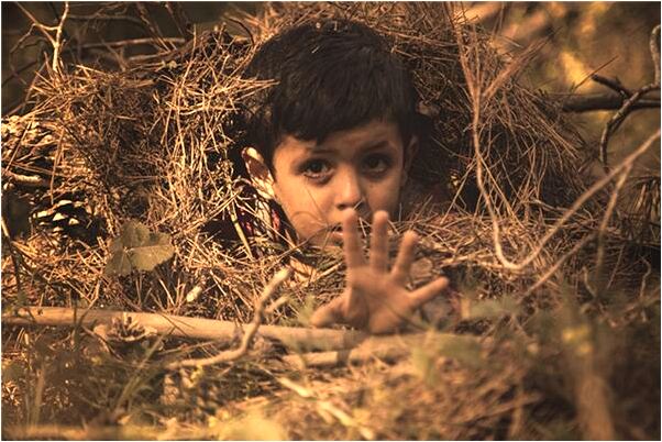 夢到了死豬復活追著咬有什麼寓意嗎_周公解夢官網