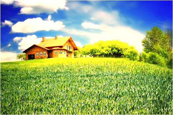 夢見自家門前停放轎車是什麼預兆_周公解夢官網