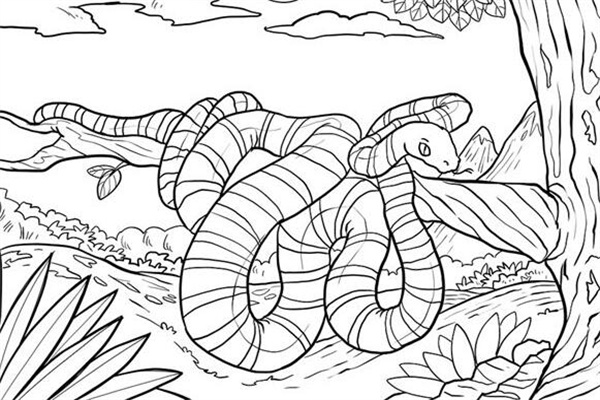 夢到了白花蛇有什麼寓意嗎_周公解夢