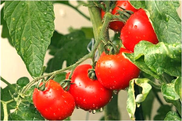 夢到了車禍碎屍有什麼徵兆_周公解夢官網