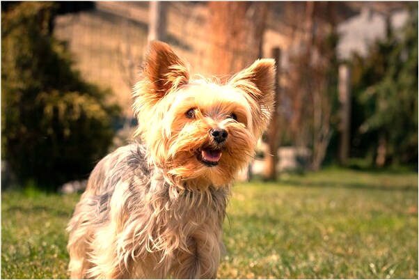 夢見很多人在桌上賭錢會是什麼預兆_周公解夢官網