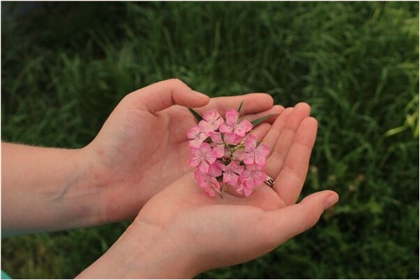 夢見買刮刮樂中了五十萬是不是好的徵兆呢_周公解夢官網