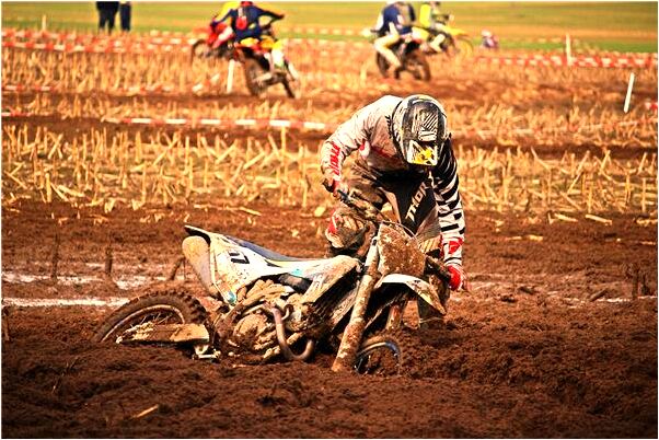 夢見代養很多小孩和貓有什麼寓意嗎_周公解夢官網