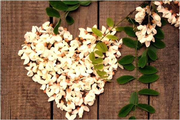 夢見好門楣是什麼意思？_周公解夢官網