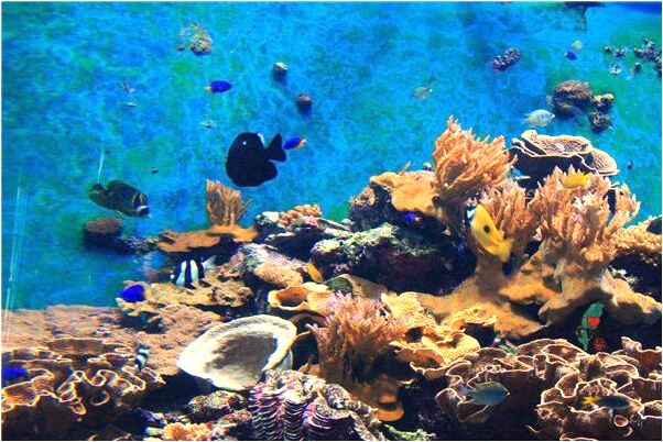 夢到了自己不小心喔屎會有什麼預兆_周公解夢官網