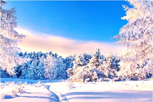 夢到火往上燒是啥預兆_周公解夢官網