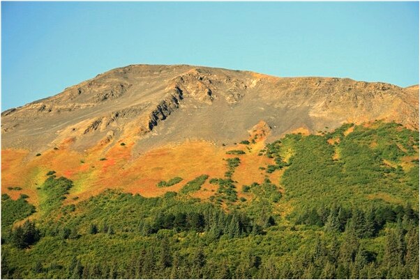 夢到了給母親捲髮是什麼預兆_周公解夢官網