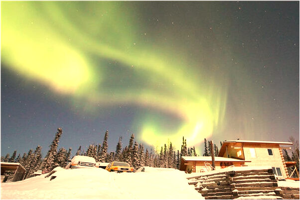 夢到一直被蛇咬住意味著什麼_周公解夢官網