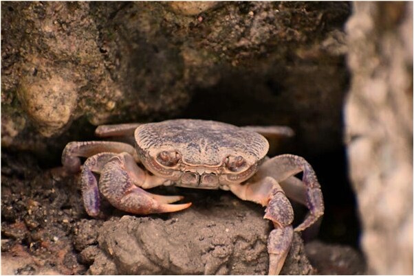 夢到一排枕頭會是什麼預兆_周公解夢官網