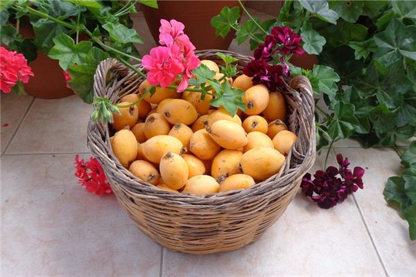 夢見枇杷是什麼意思_周公解夢