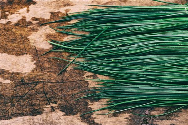 夢見韭菜預示著什麼_周公解夢