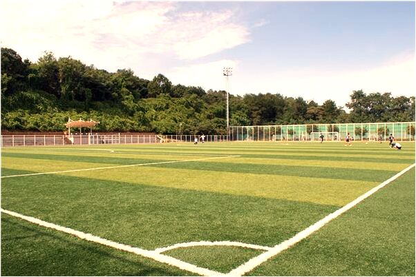 夢到了和他人情愛是怎么回事_周公解夢官網