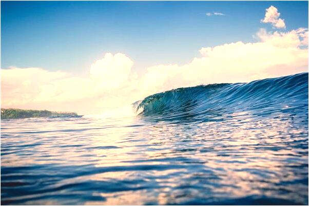 夢見提包被盜意味什麼_周公解夢官網