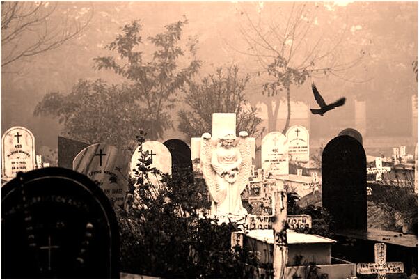 夢到了藍白相間的蛇代表著什麼？_周公解夢官網