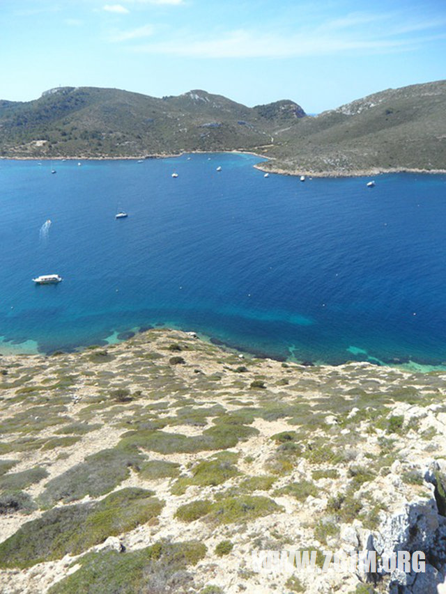 夢見打架殺人_周公解夢夢到打架殺人是什麼意思_做夢夢見打架殺人好不好_周公解夢官網