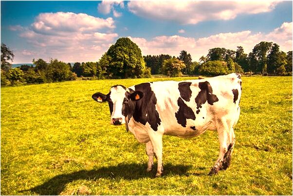 夢見給別人講數學題意味著什麼_周公解夢官網