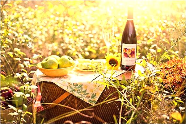 夢到了自己座車斗車開很快是不是好的徵兆呢_周公解夢官網