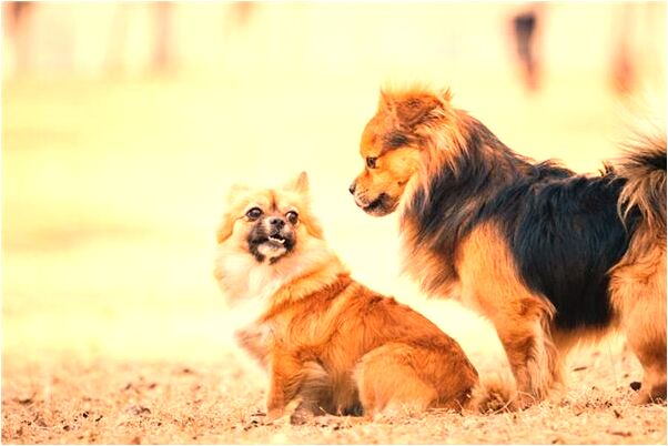 夢到了好朋友的女友和我上床是啥預兆_周公解夢官網