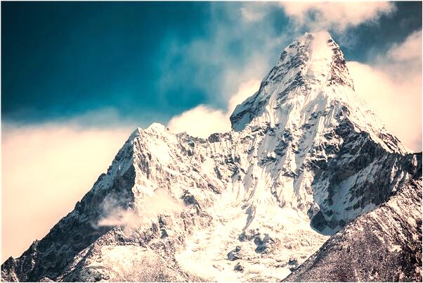 夢到了栽菜仔怎么說_周公解夢官網