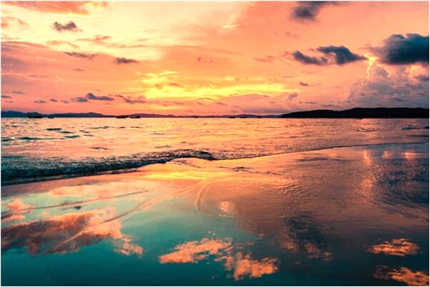 夢到了我我家有兩個小豬代表著什麼_周公解夢官網