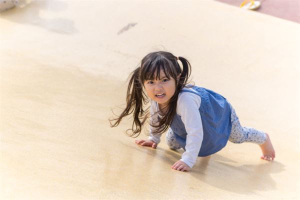 1995年屬豬多少歲結婚好_十二生肖