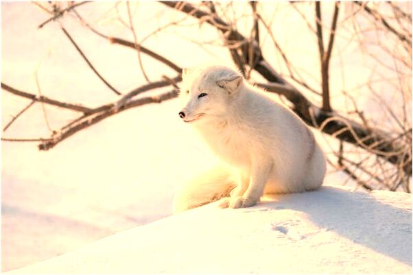 夢到自已在水裡水往上長是什麼啟示_周公解夢官網