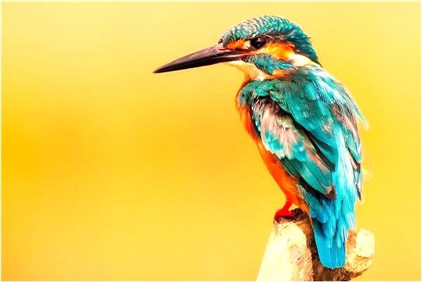 夢見同學和陌生人都在上課預示了什麼_周公解夢官網