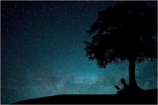 夢見藍色的波斯貓是什麼啟示_周公解夢官網