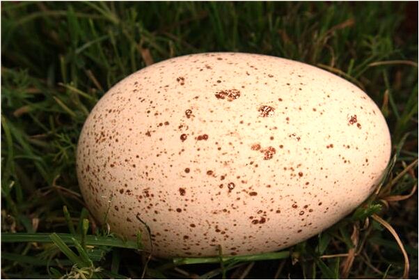 夢到給對象充話費沒充成功有何寓意_周公解夢官網