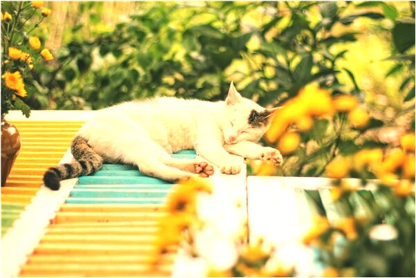 夢見最近老愛前男朋友怎么樣_周公解夢官網