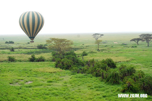 夢見老婆出車禍_周公解夢夢到老婆出車禍是什麼意思_做夢夢見老婆出車禍好不好_周公解夢官網