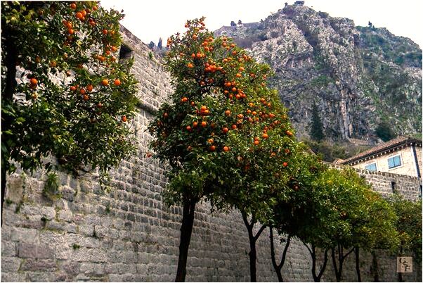 夢見工作和居住環境都換了預示了什麼_周公解夢官網