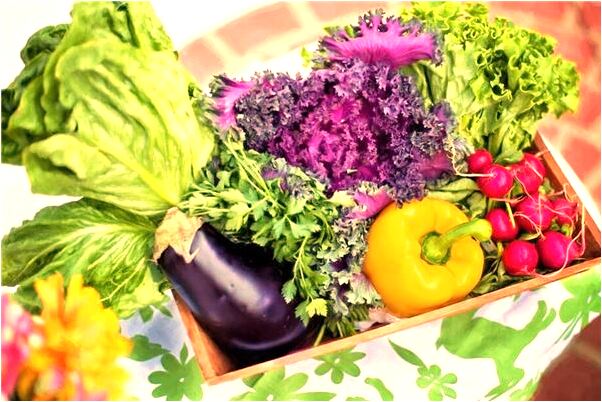 夢到了狗愛愛是凶兆還是吉兆_周公解夢官網