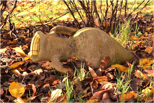 夢到前方亂草難行意味著什麼_周公解夢官網