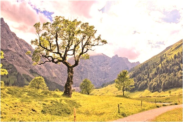 夢到了被打劫了有何寓意_周公解夢官網