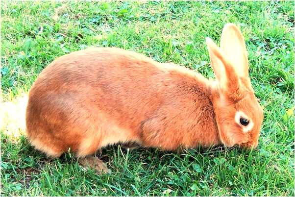 夢到了拿著木棍打鬼有什麼預示嗎_周公解夢官網