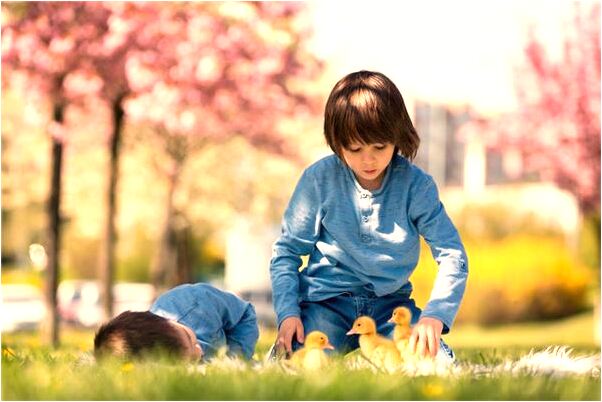 夢到了一隻黑貓生了兩窩小貓啥意思_周公解夢官網