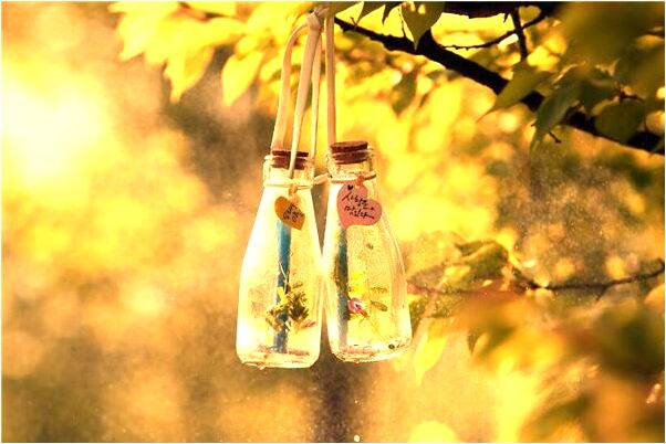 夢到了養豹子會怎么樣_周公解夢官網