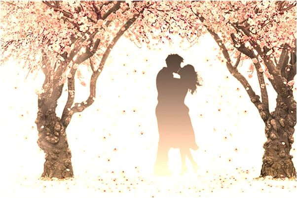 夢見手背長黑毛會怎么樣_周公解夢官網