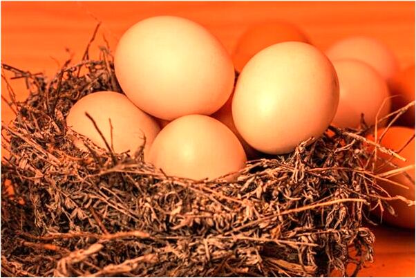 夢到了狼來了是什麼預兆_周公解夢官網