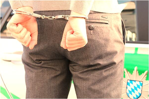 夢到了我餵狗吃朱古力是啥預兆_周公解夢官網