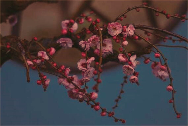 夢見吃飯沒有餐具是啥預兆_周公解夢官網