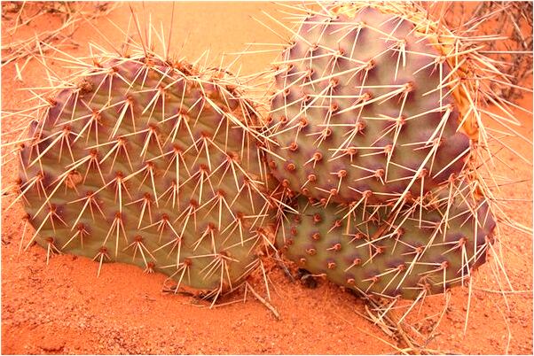夢見看一群孩子拉我一身意味著什麼_周公解夢官網