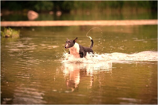 夢到手指紋路有什麼預兆_周公解夢官網