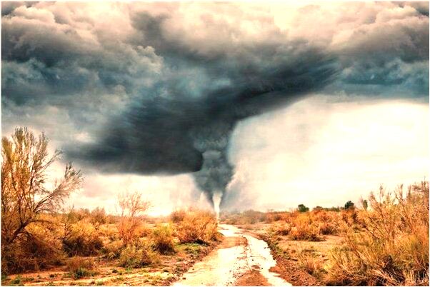 夢到冰櫃魚意味著什麼_周公解夢官網