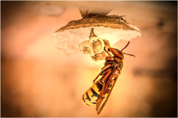 夢見男友我丟了有什麼說法_周公解夢官網