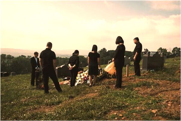 夢見褐色和綠色的蟲是咋回事_周公解夢官網