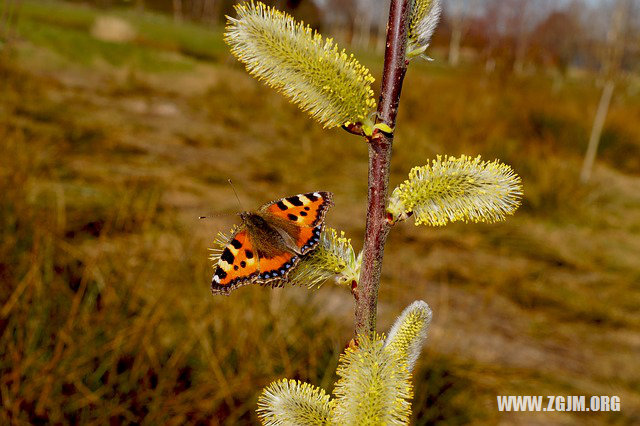 夢見有錢人_周公解夢夢到有錢人是什麼意思_做夢夢見有錢人好不好_周公解夢官網
