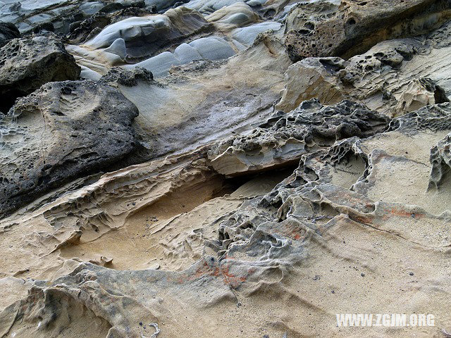 夢見芒果樹_周公解夢夢到芒果樹是什麼意思_做夢夢見芒果樹好不好_周公解夢官網