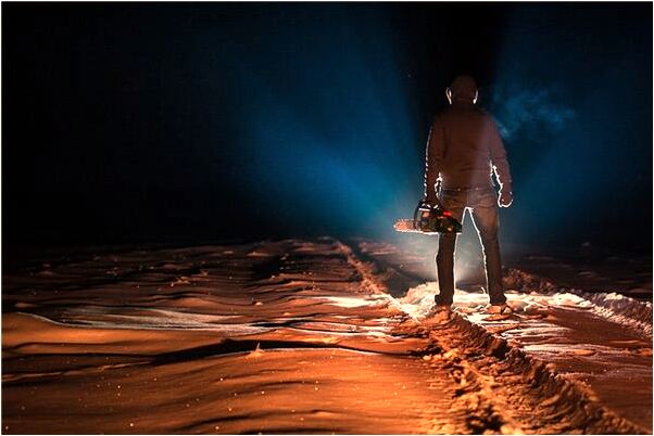 夢到好多隻貓吃乾屍意味著什麼_周公解夢官網